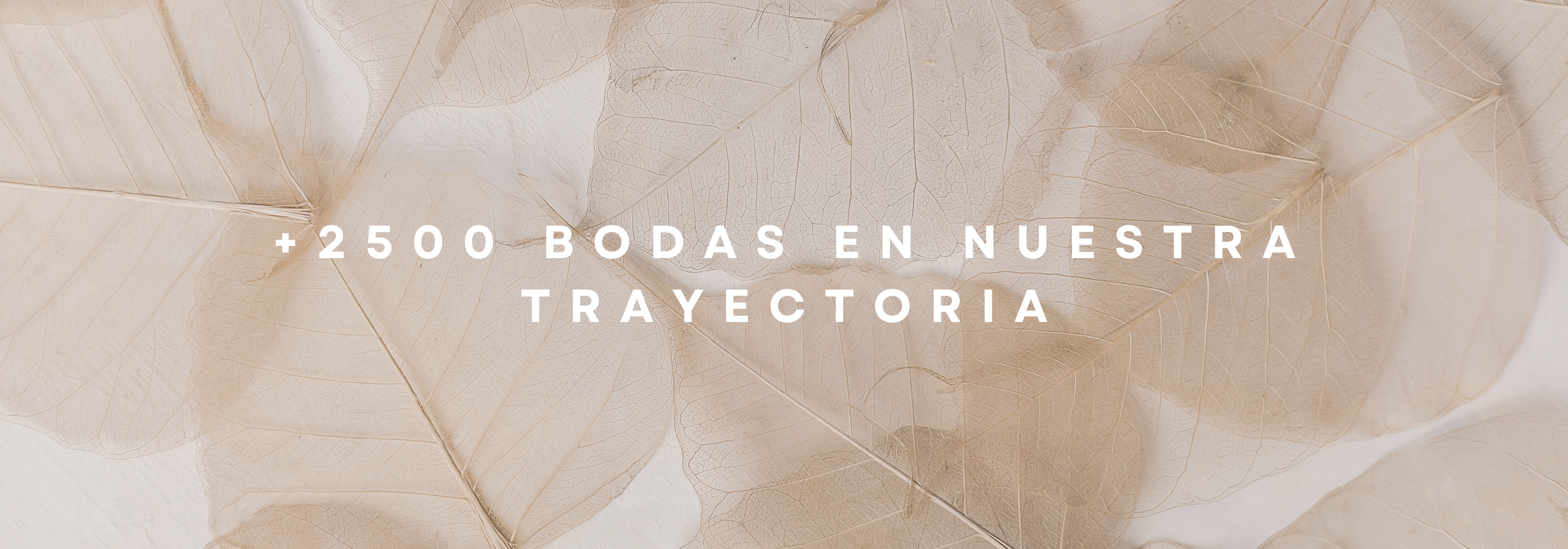 65 AÑOS DE EXPERIENCIA EN EL MERCADO CON MÁS DE 2,500 BODAS SERVIDAS.